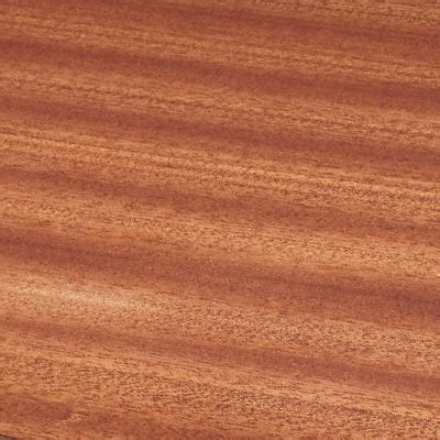 sapele woodsense